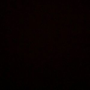 Meet your Posher, Damon